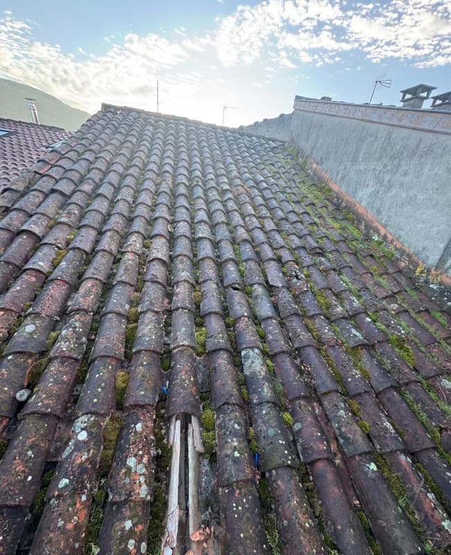 Toiture en tuiles canal envahie de mousses et lichens nécessitant un couvreur auterive professionnel