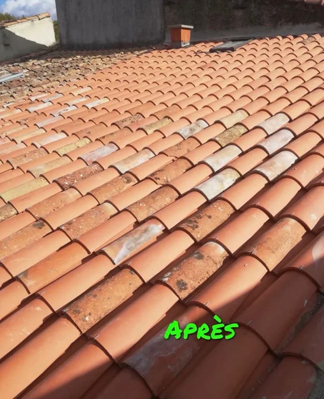 Toiture en tuiles canal après couvreur auterive, rampant propre sans mousse ni lichen en Ariège